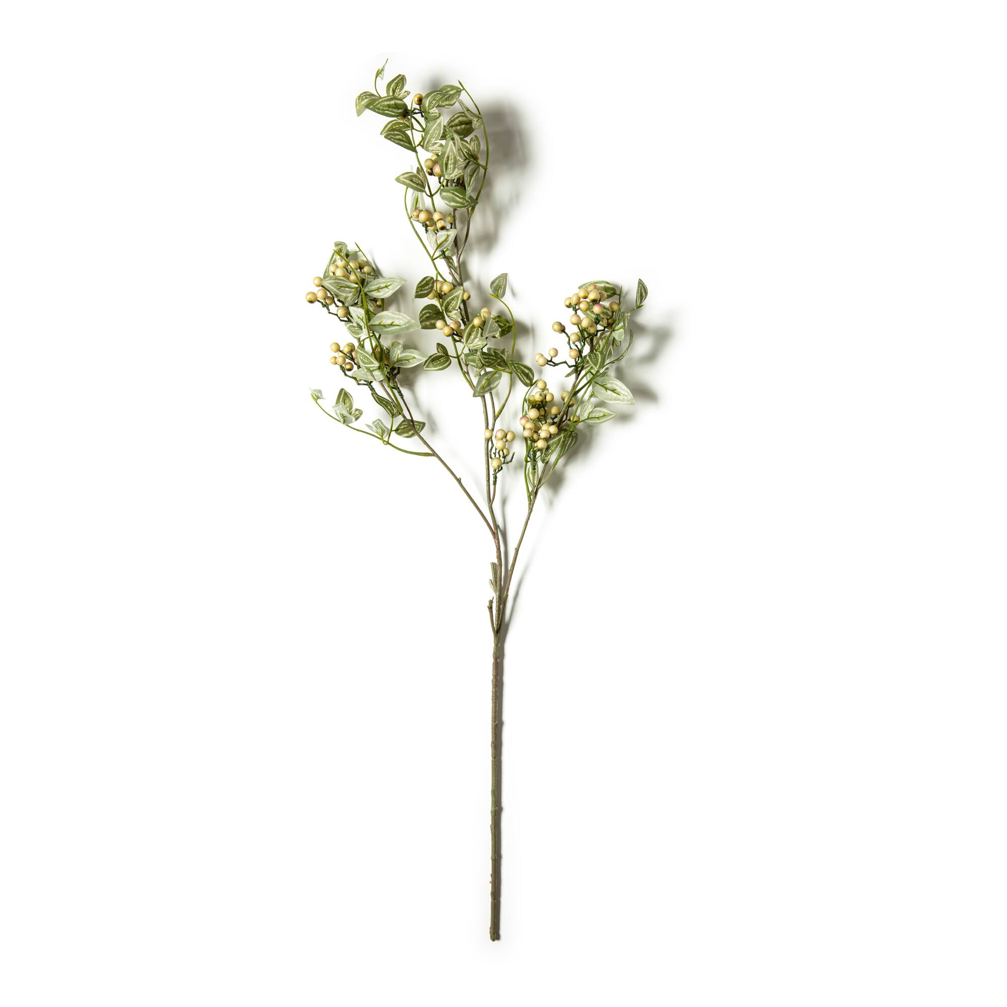 Green Berry Stem with Leaves by Ashland®